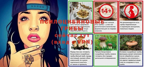 дживик Бугульма