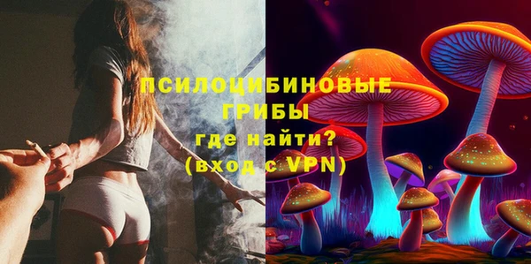 ECSTASY Бронницы