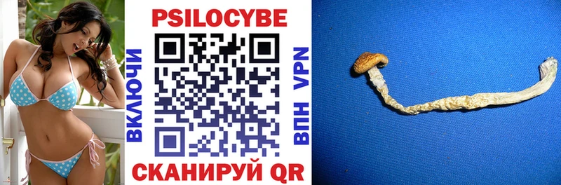 как найти закладки  Пласт  Псилоцибиновые грибы прущие грибы 
